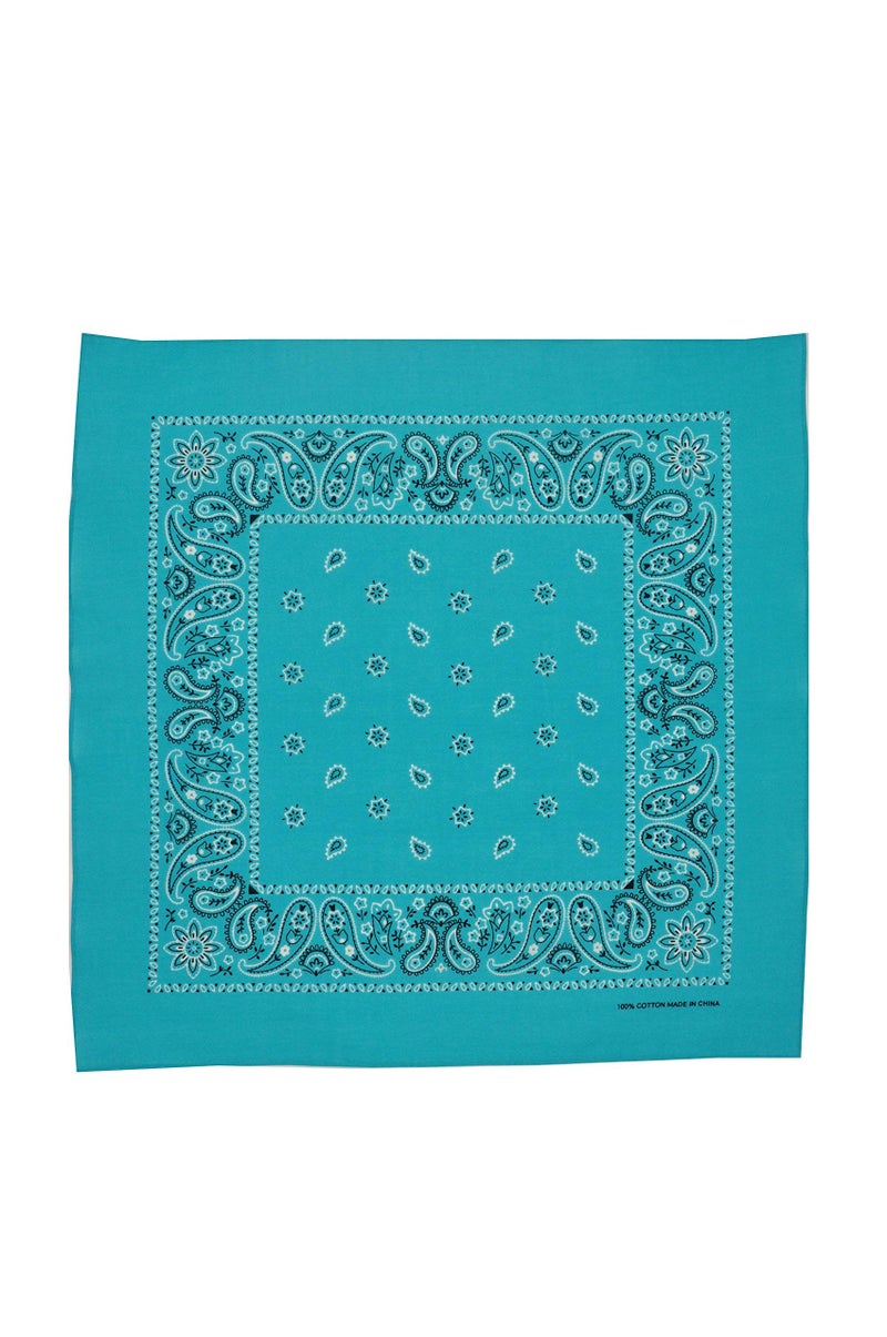 Vamqor 12pcs Bandana for women and men 100% Cotton Custom Fashion Paisley Design Multifunctional Outdoor Square Handkerchief (Turquoise) - Image 3